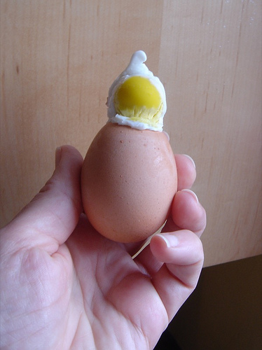 [eggbaby.jpg]