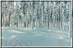 [erdő+télen.jpg]