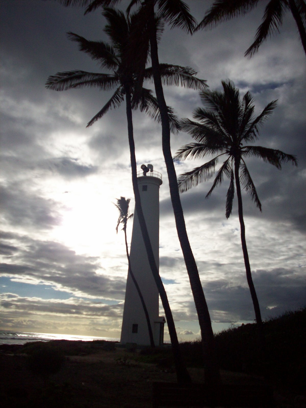 [palmtrees+lighthouse.jpg]
