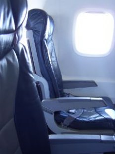 [plane_leather_seat_266108_l.jpg]