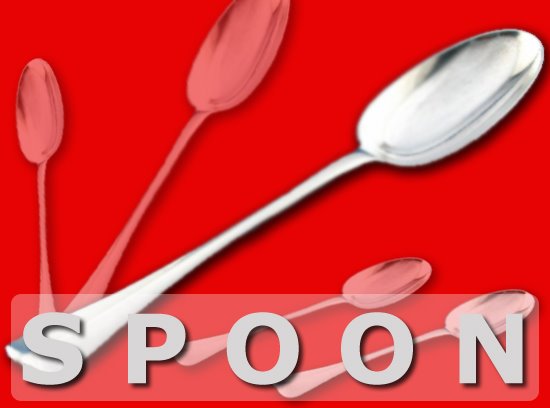 [spoon.jpg]