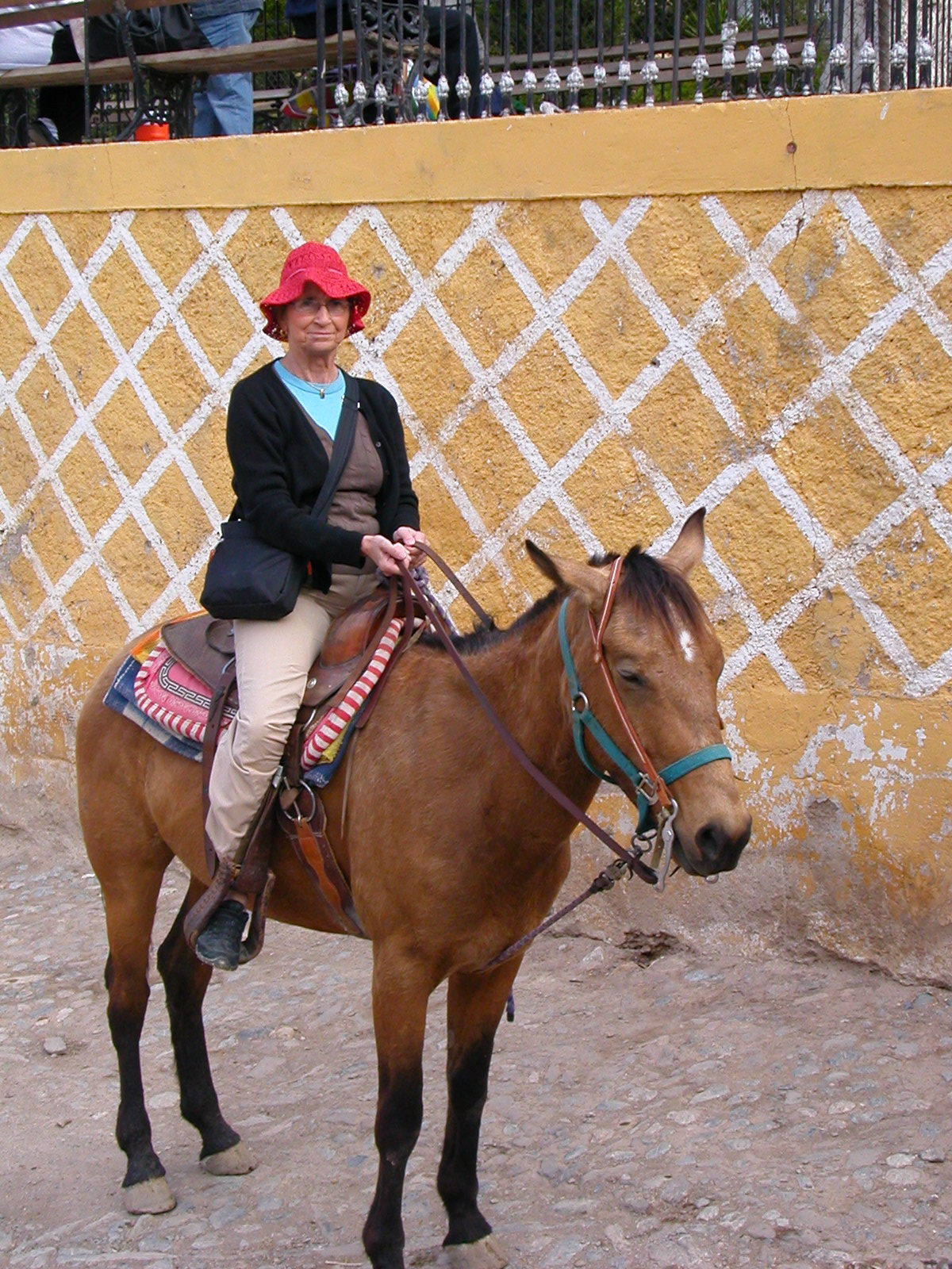 [Horseback,+Christiane.jpg]