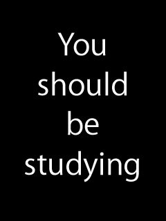 [You+should+be+studying.jpg]