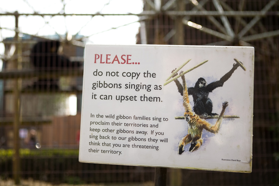 [gibbons.jpg]