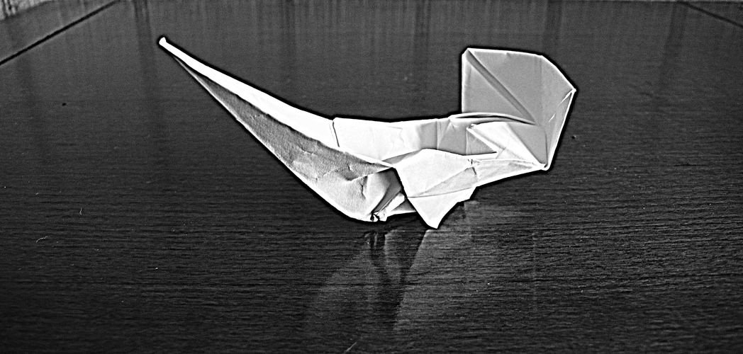 [jonque-origami.jpg]