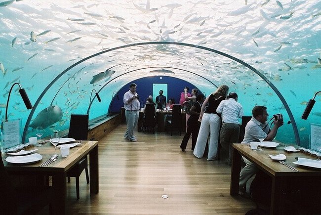 [underwater_restaurant_006.jpg]