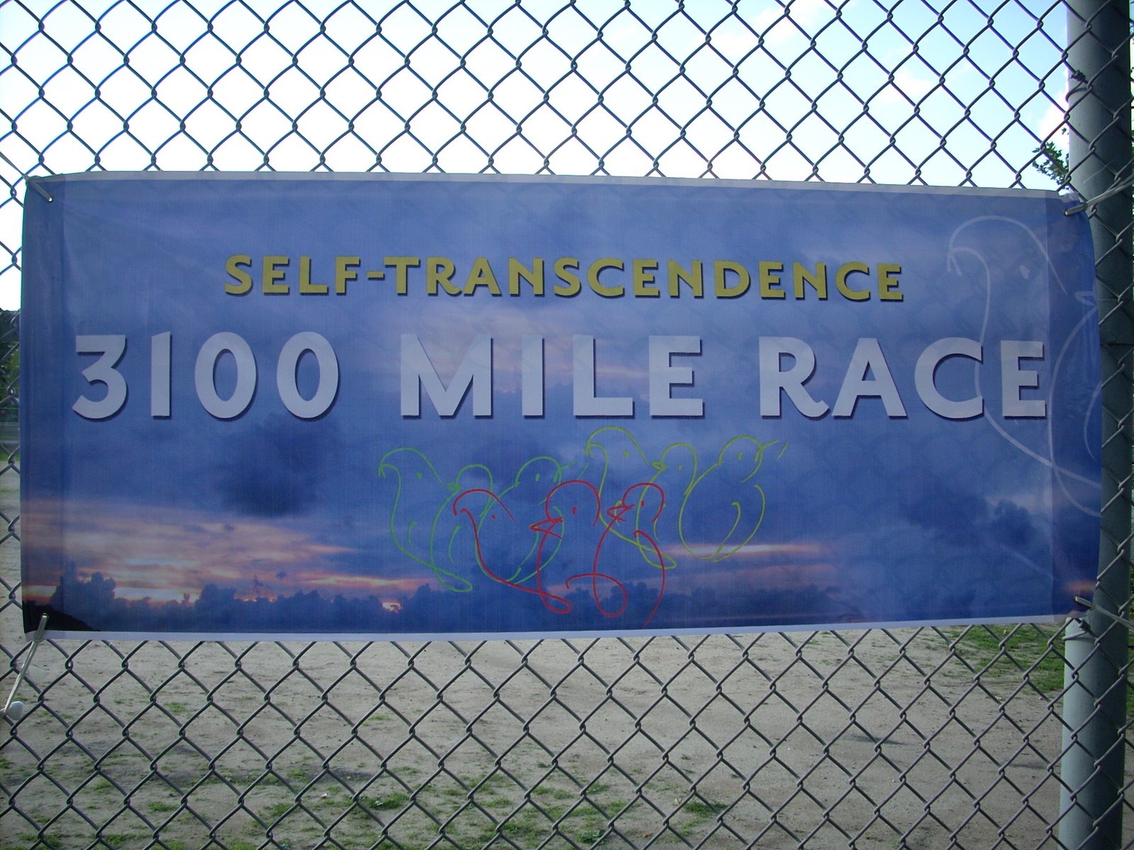 [3100+mile+race+001.jpg]