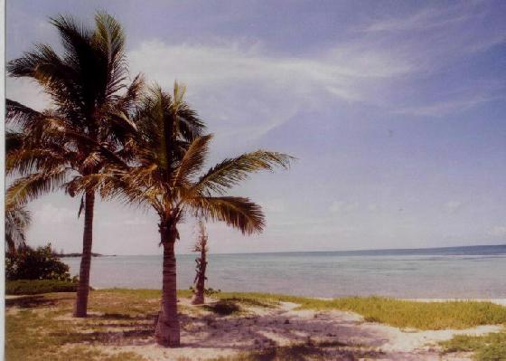 [351064-Paradise_Cove-Grand_Bahama_Island.jpg]