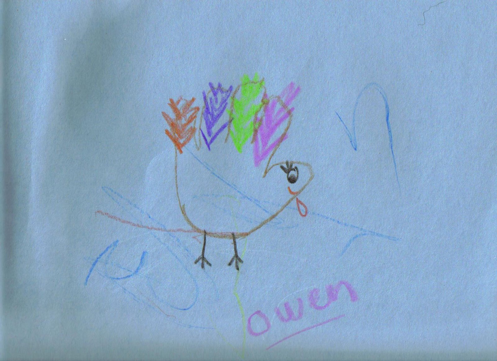 [Owen's+turkey.jpg]
