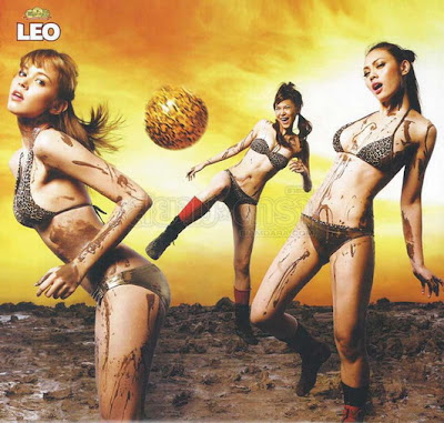 Leo Beer Calendar 2008