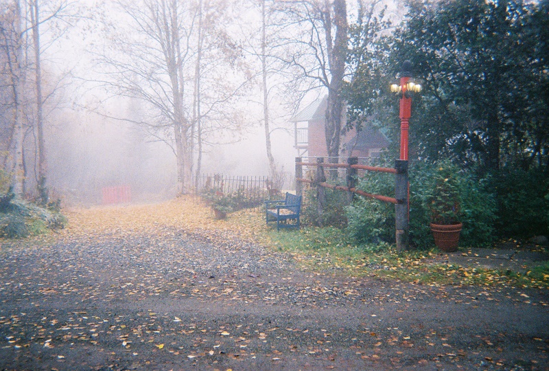 [Photo+of+Sh+in+fog.jpg]