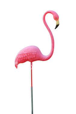 [ist2_701390_pink_plastic_flamingo.jpg]