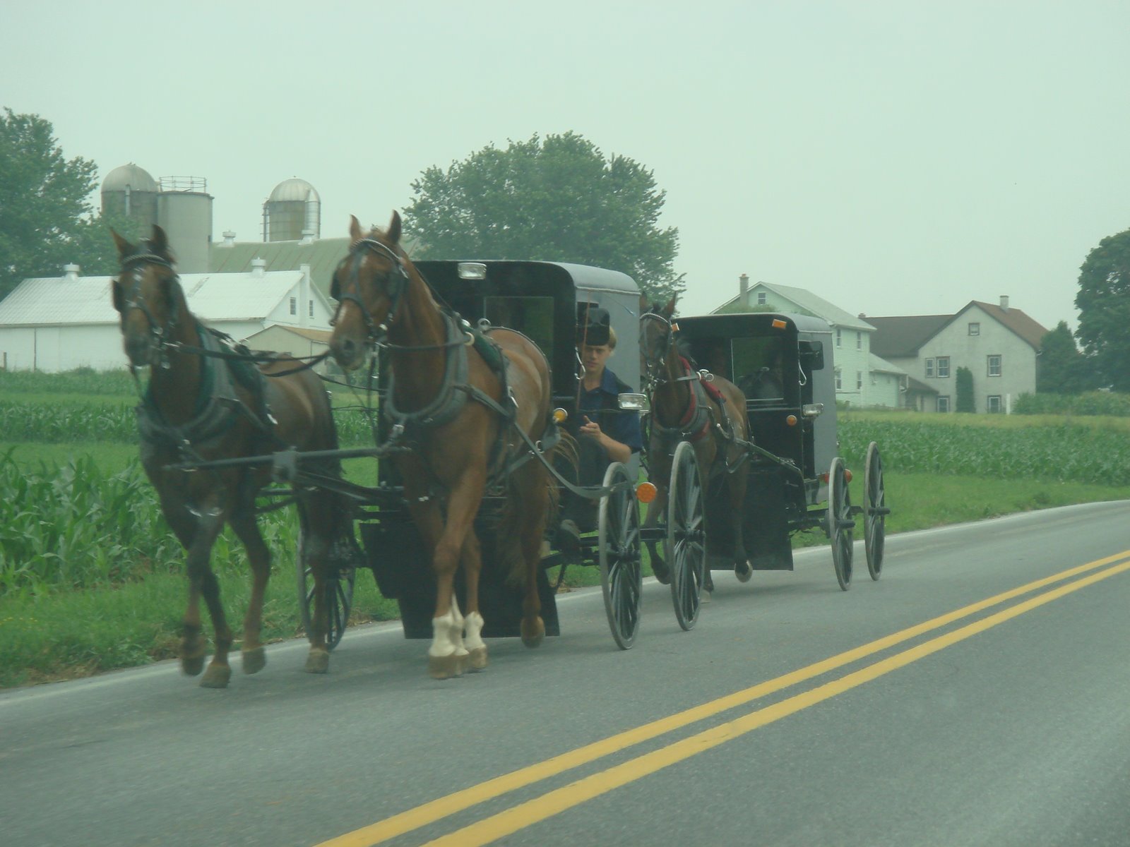 [Amish+trip+005.jpg]