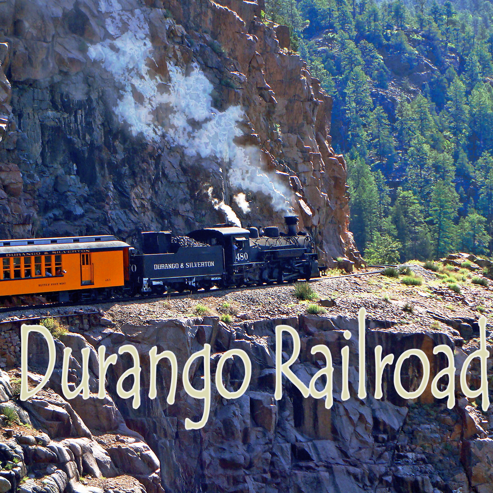 [Durango-Train.gif]