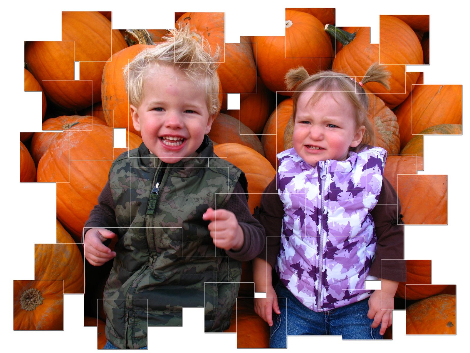 [collage+of+pumpkins.jpg]