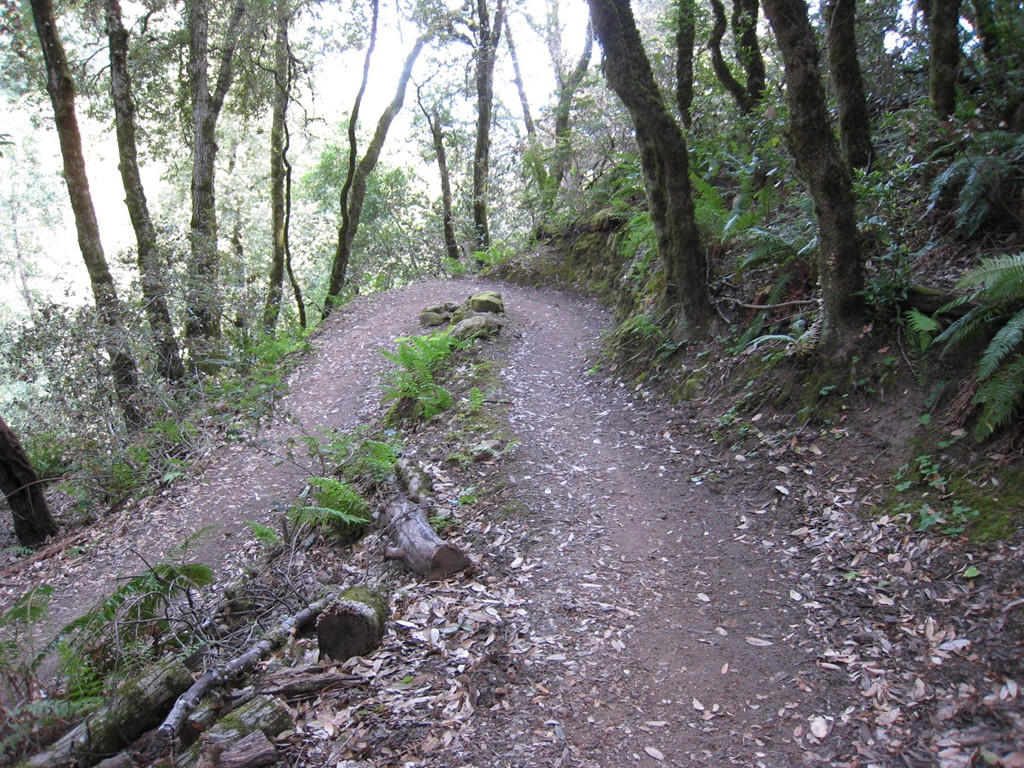 [Razorback+Ridge+Trail+June2007+002.JPG]