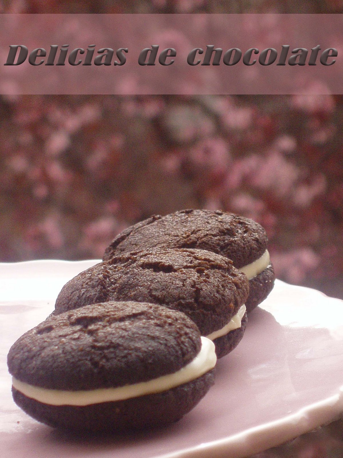 [delicias+de+chocolate.jpg]