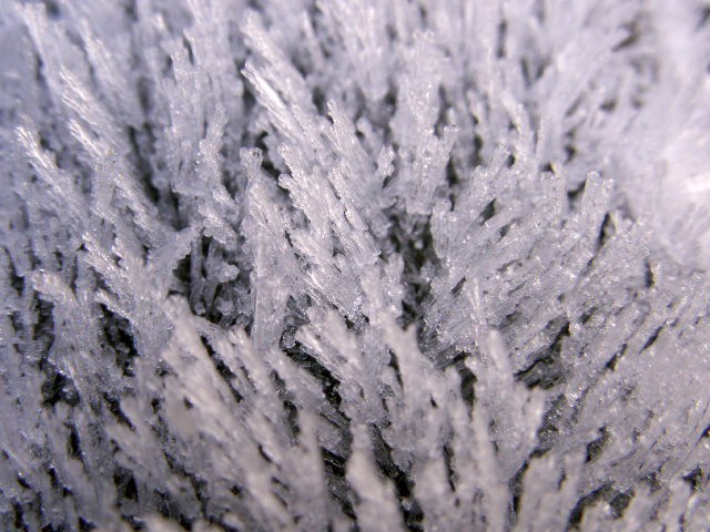 [frost+crystals+by+the+Ribble.jpg]