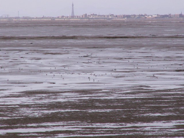 [Blackpool+in+the+distance.jpg]