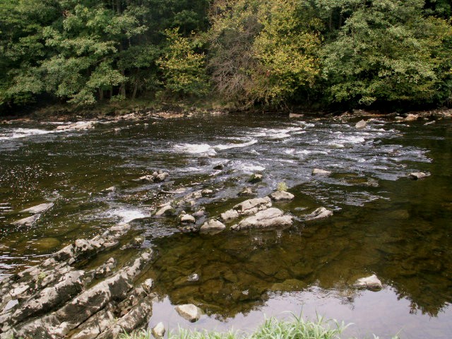 [c5+voice+of+the+River+Ribble+at+Hartsails.jpg]