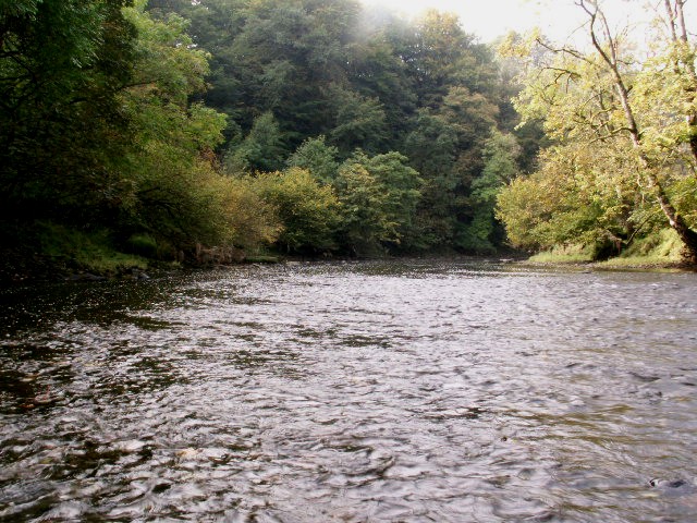 [b2+the+forbidden+forest,+River+Ribble+at+Sawley.jpg]