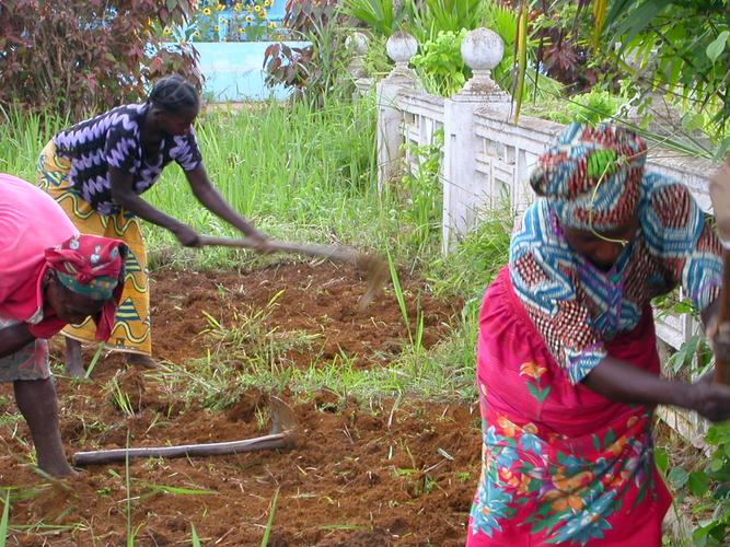 [Mulheres-a-trabalhar-a-terra-perto-da-Catedral-de-Mbanza-Congo_.jpg]