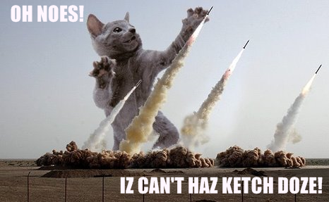 [iranian+lolcat+missle.png]