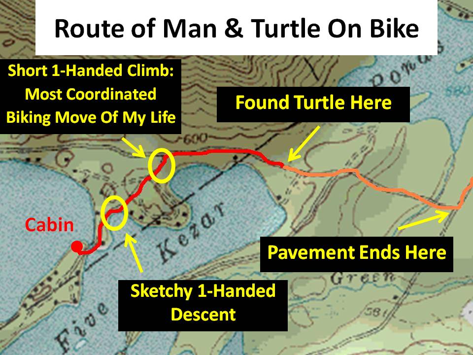 [Turtle+Route.jpg]