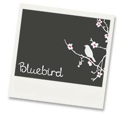 [bluebird.JPG]