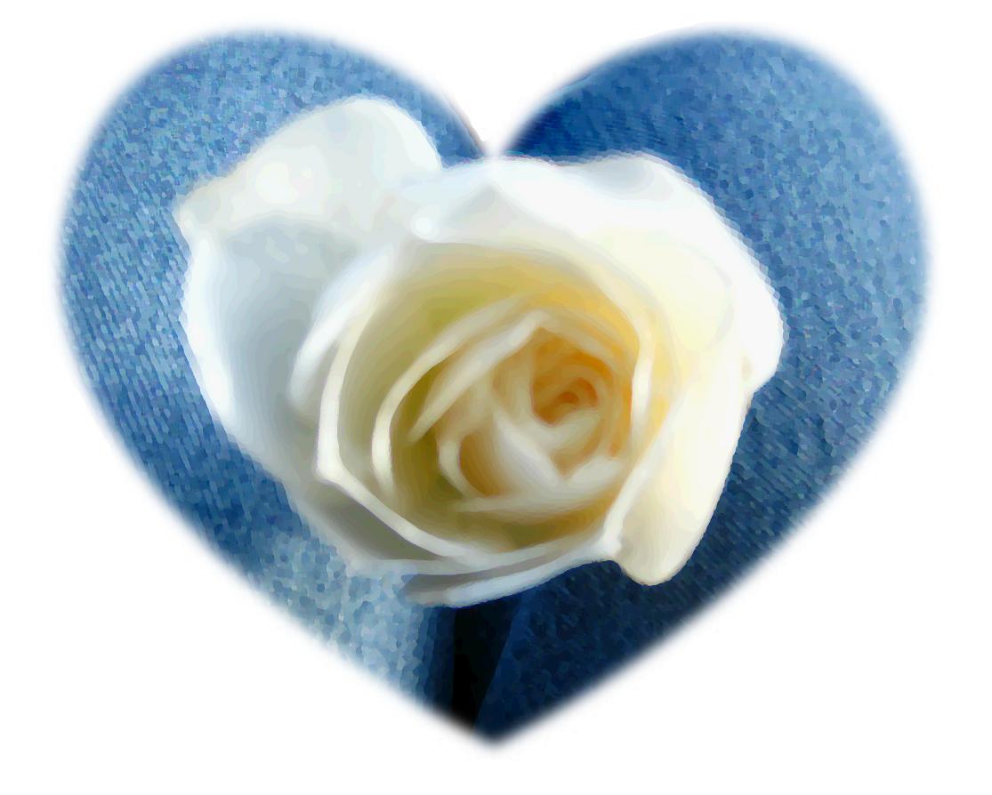 [rose+heart.jpg]