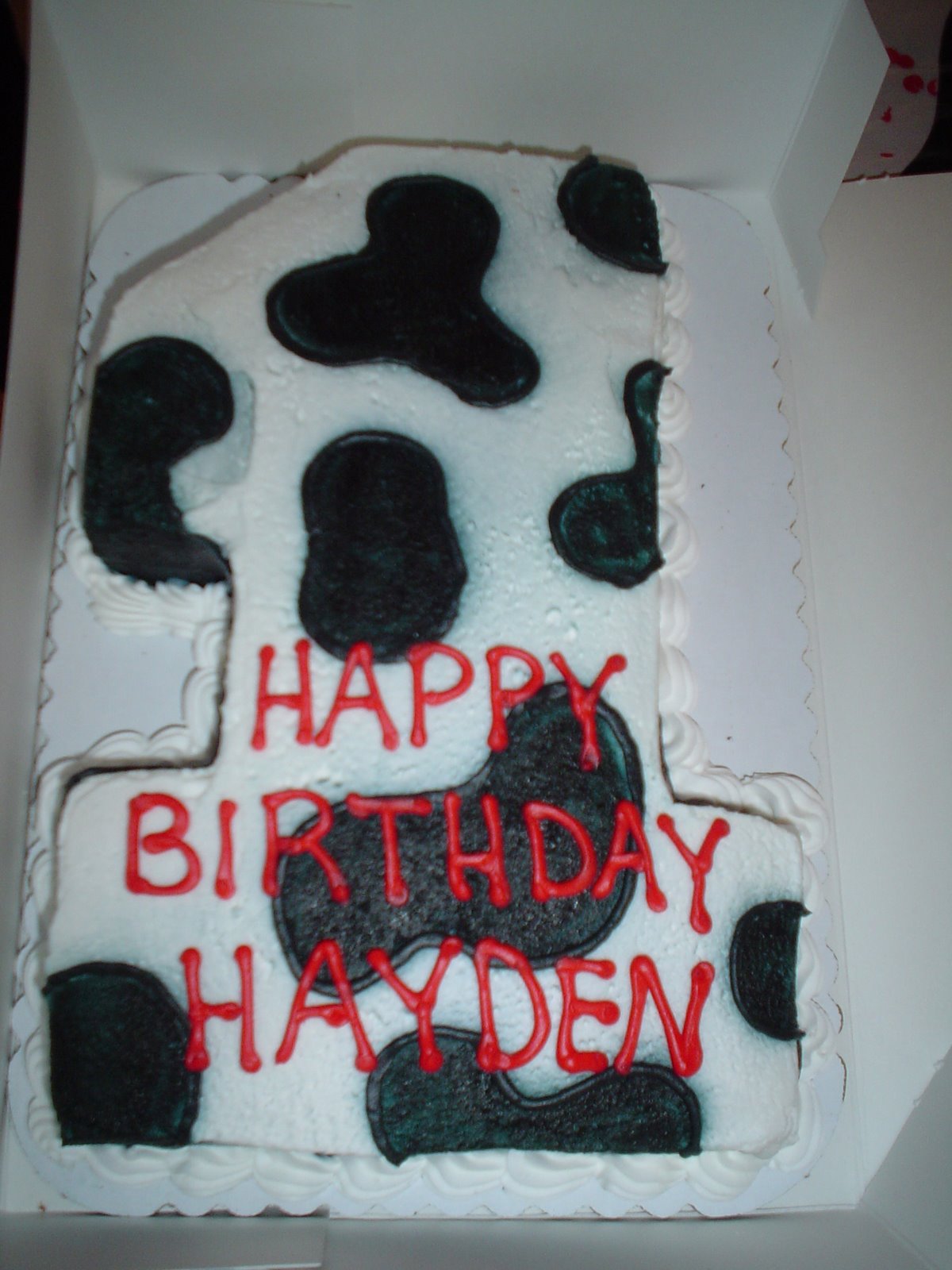 [Hayden's+first+Birthday+044.jpg]