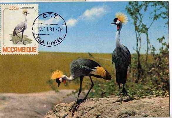 [mozambique-bird-crested-crane.jpg]