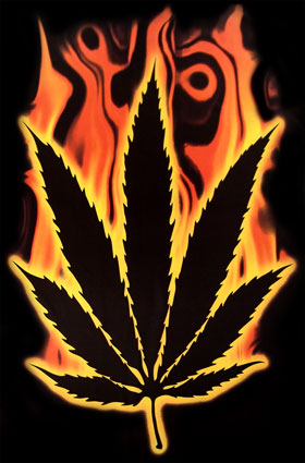 [50113~Burning-Marijuana-Leaf-Posters.jpg]