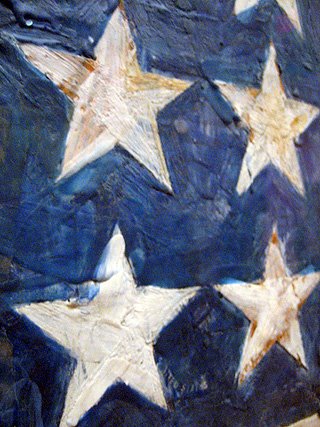 Jasper Johns Flag in MOMA