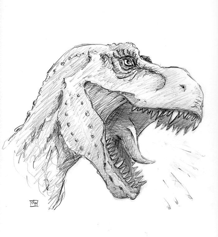 [t-rex-head-sketch.jpg]