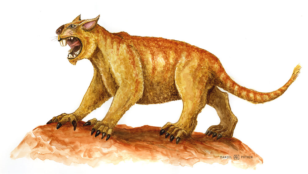 [thylacoleo-marsupial-lion.jpg]