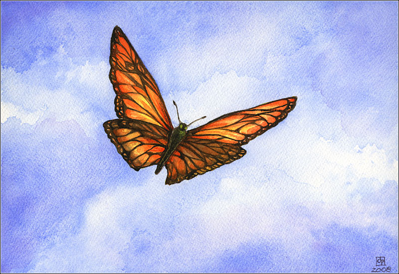 [papillon-butterfly.jpg]