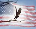 [American+Flag+with+Eagle.jpg]