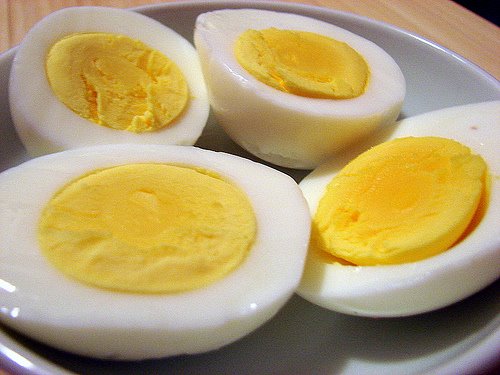 [Eggs.jpg]