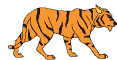 [tigre+tiger06.gif]