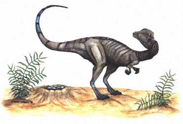 [dilophosaurus3.jpg]