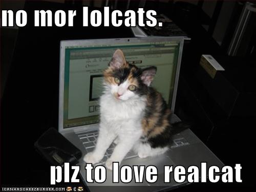 [funny-pictures-your-cat-wants-you-to-love-him.jpg]