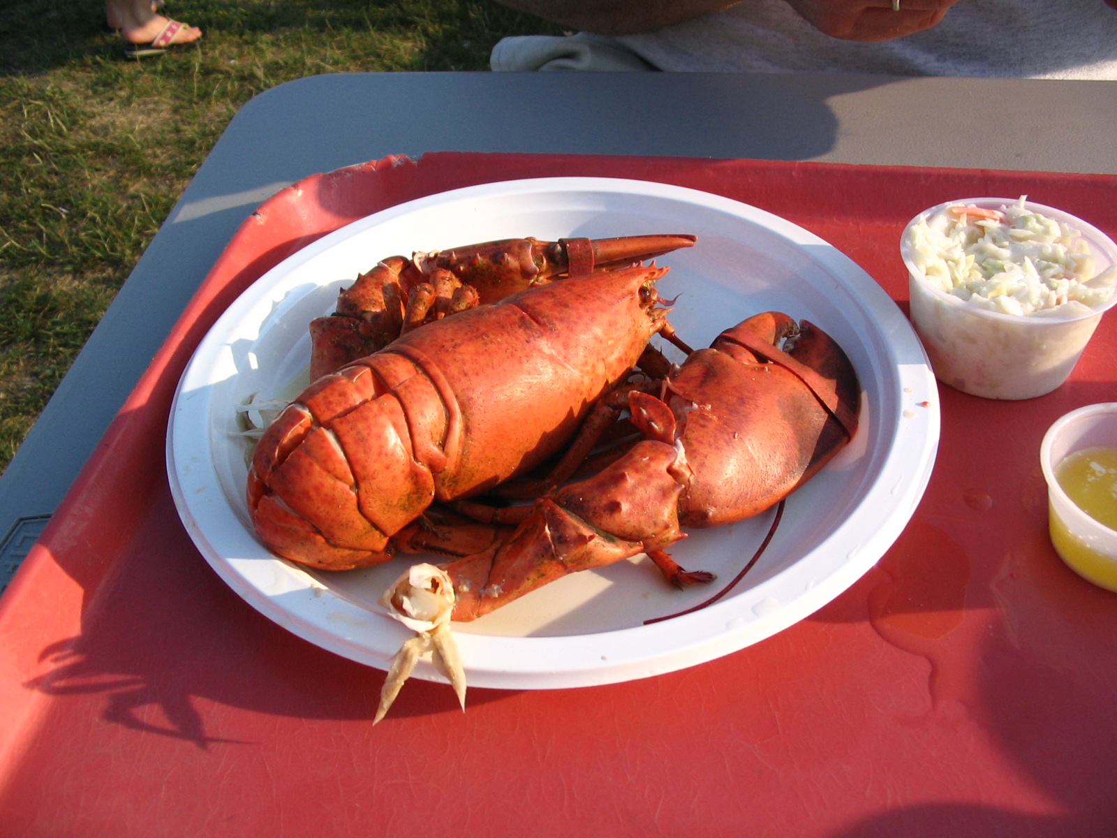 [Lobster2.jpg]