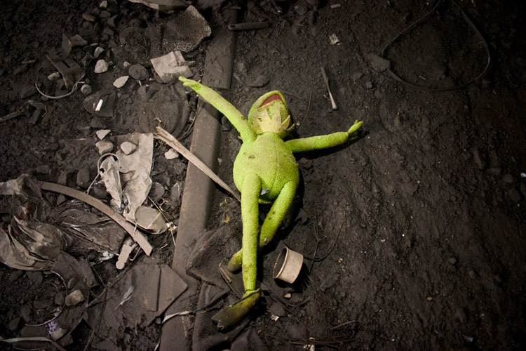 [kermit-the-frog.jpg]