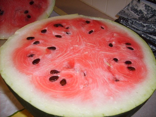 [9+dollar+watermelon+002.jpg]
