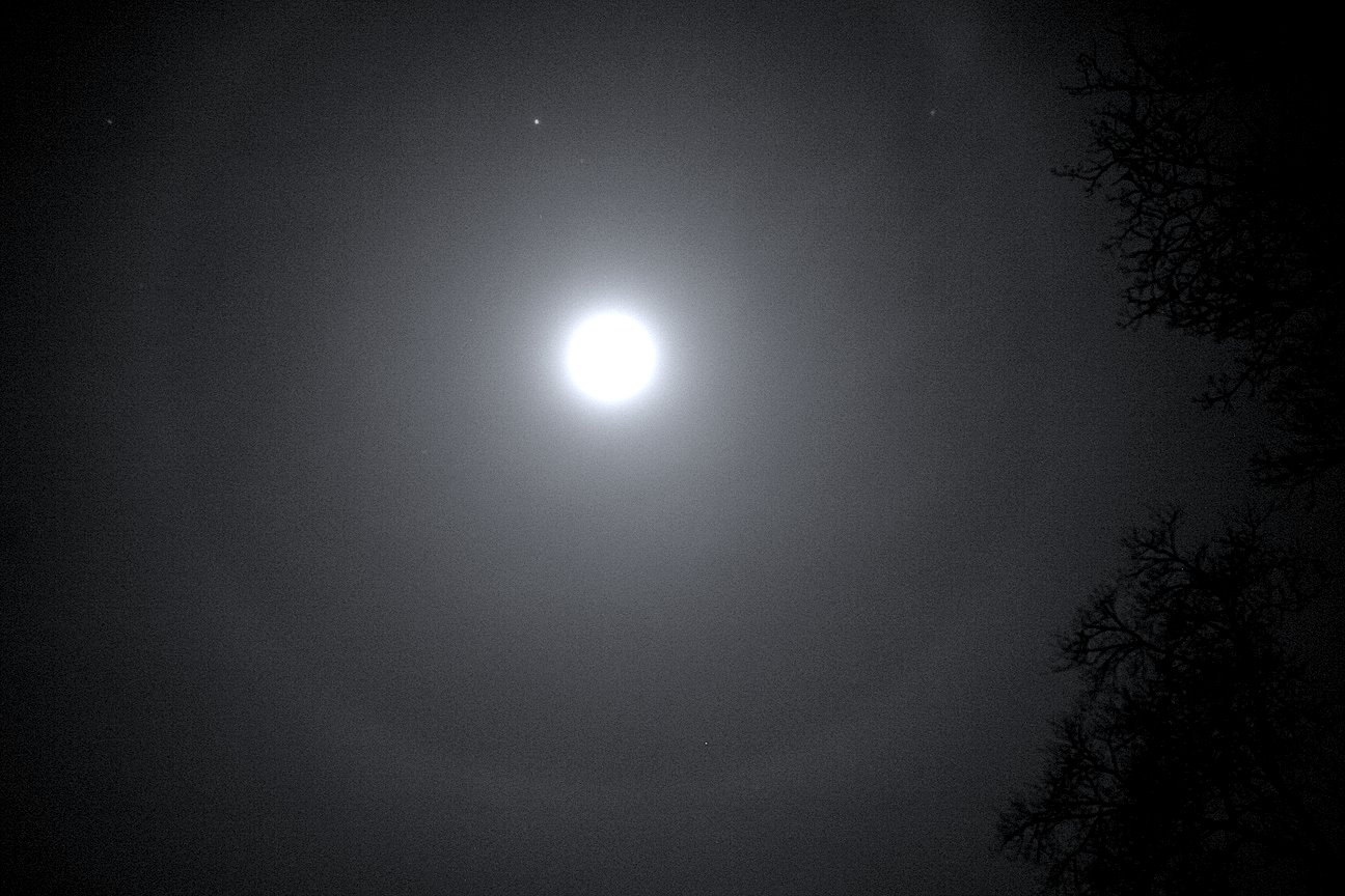 [moon+ring.jpg]