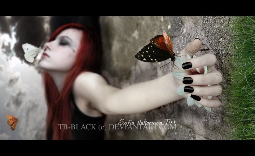[Requiem_of_a_Butterfly_by_tb_black.jpg]