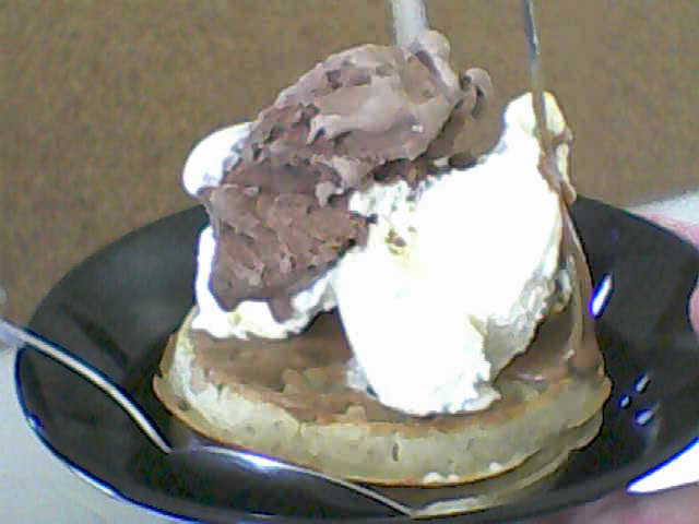 [Ice+Cream+on+waffle.jpg]