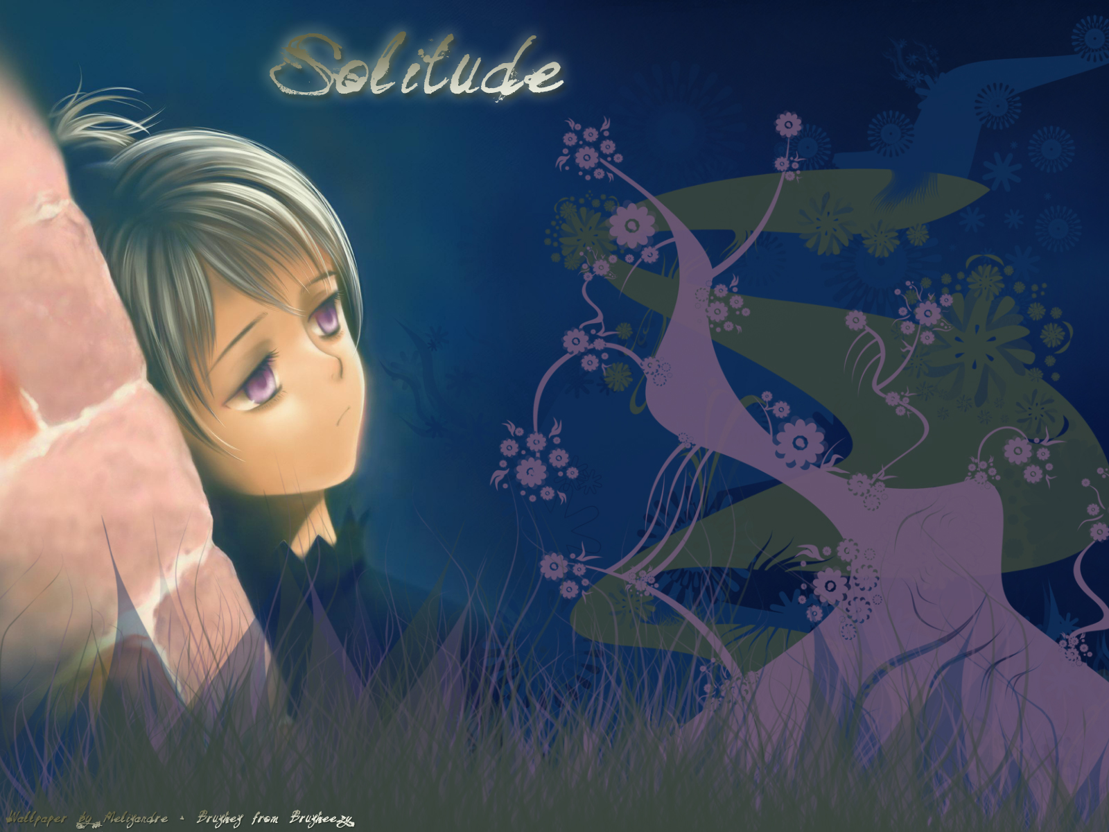 [solitude.jpg]