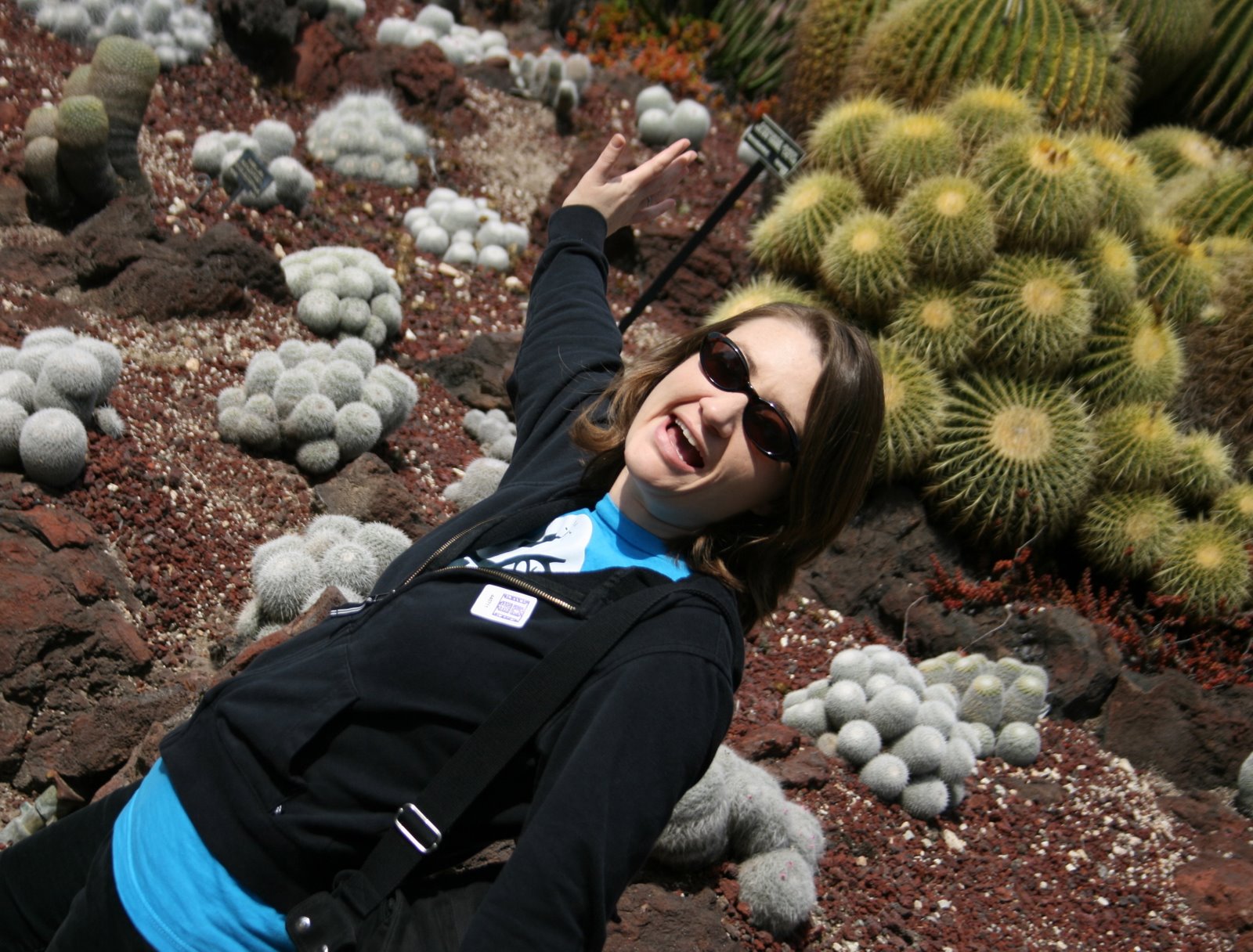 [gigi+cacti+look+but+dont+touch.jpg]